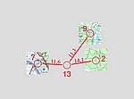 PK13.jpg