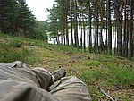 P1000977m.JPG