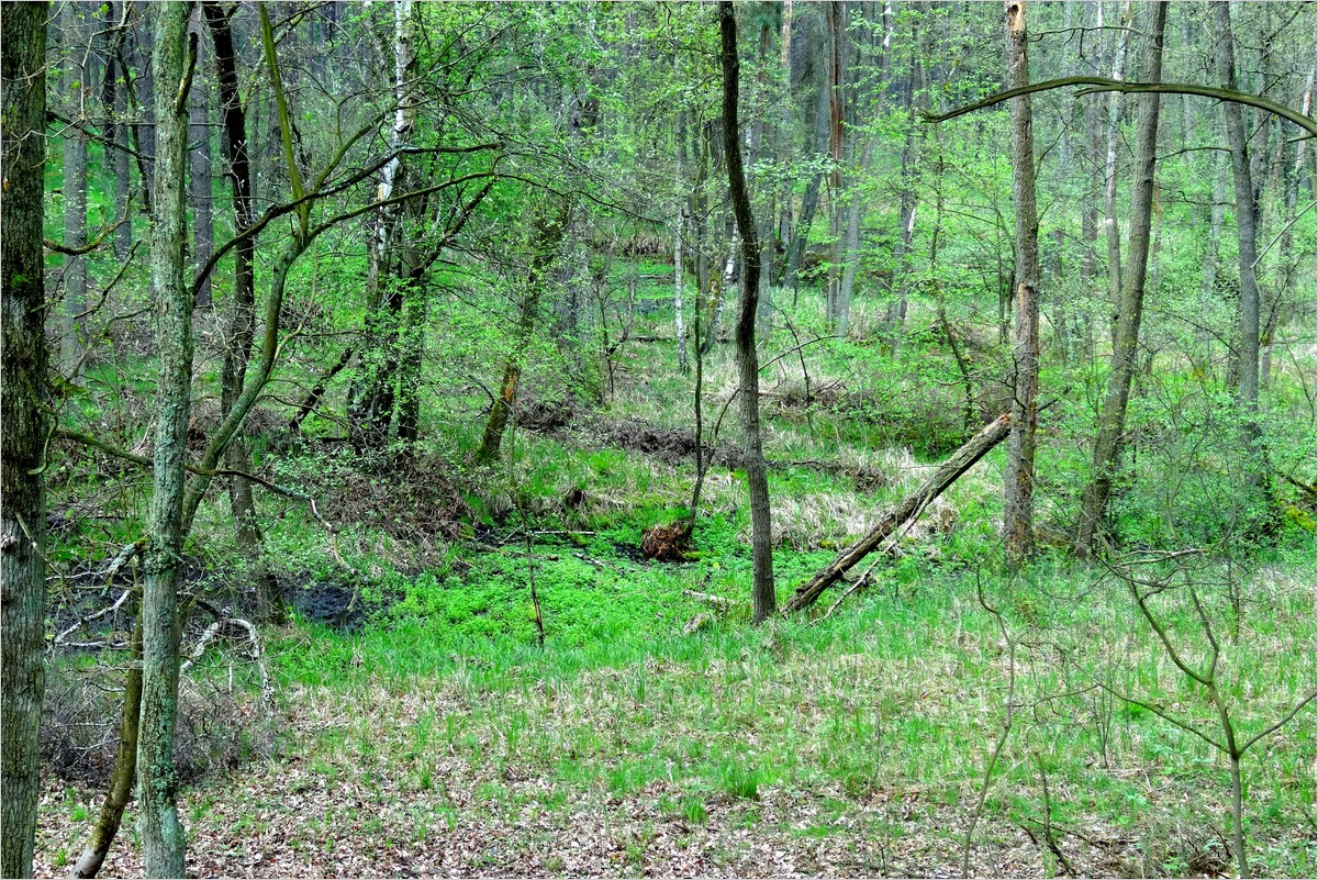 DSC02489.JPG