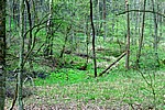 DSC02489.JPG
