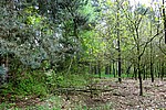 DSC02484.JPG