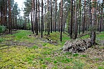 DSC02486.JPG