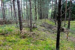 DSC02487.JPG
