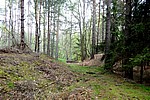 DSC02488.JPG