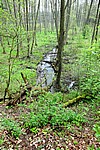 DSC02490.JPG
