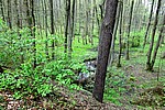 DSC02491.JPG