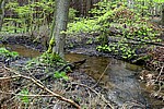 DSC02492.JPG
