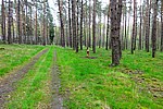 DSC02493.JPG
