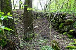 DSC02496.JPG