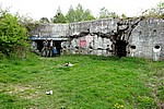 DSC02498.JPG