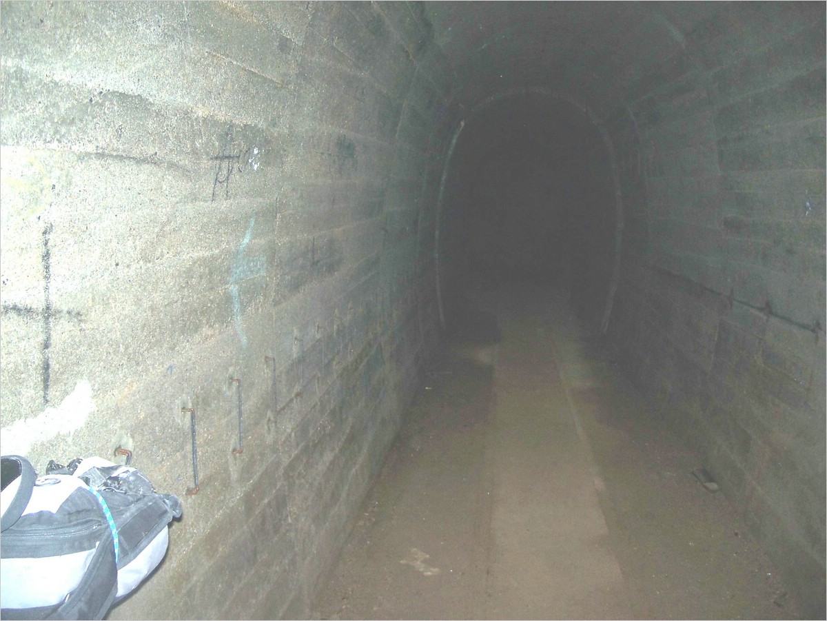 100_6846.jpg