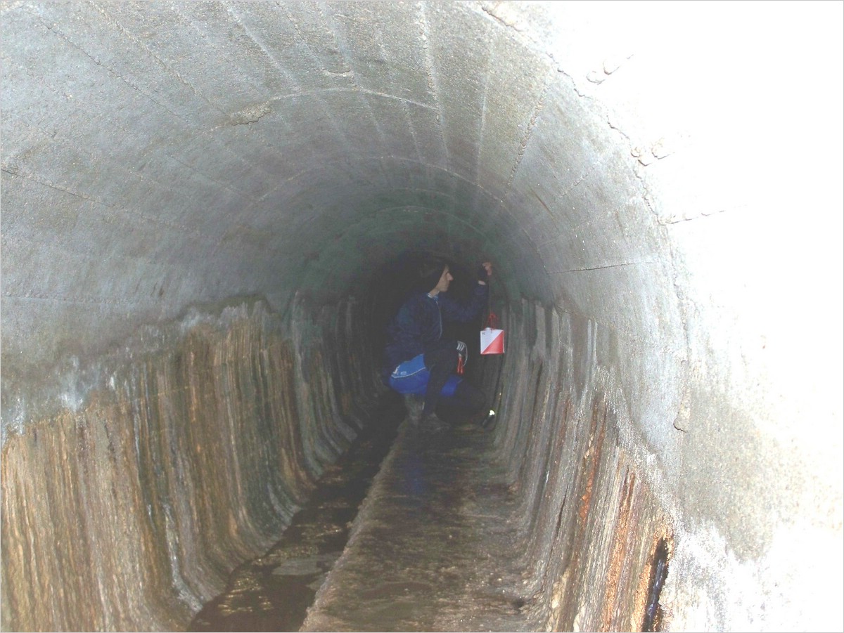 100_6848.jpg