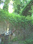100_6859.jpg