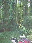 100_6860.jpg