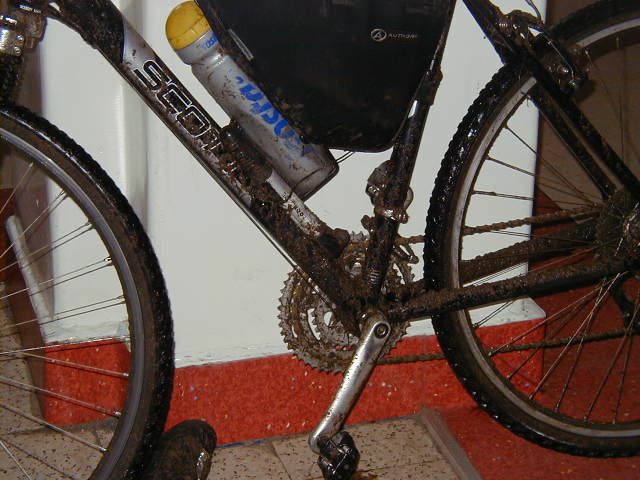 206.JPG