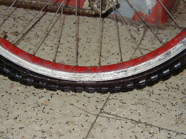 207.JPG