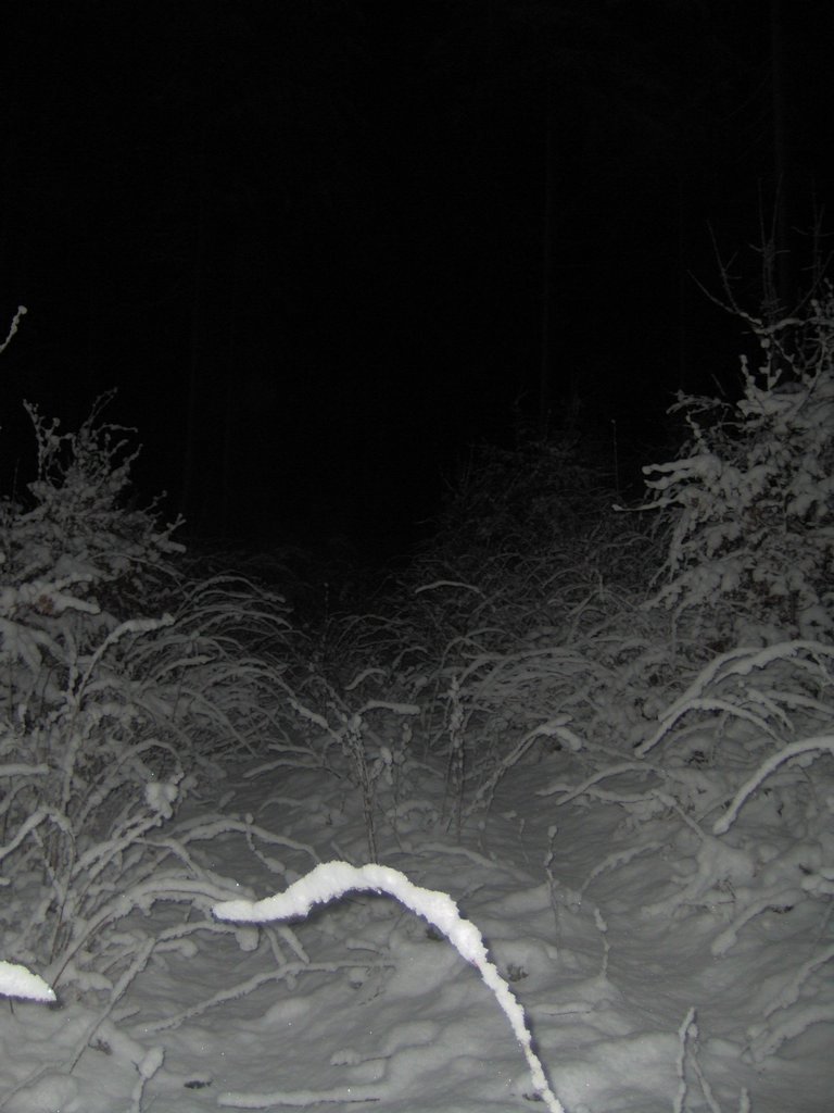 IM000687.JPG