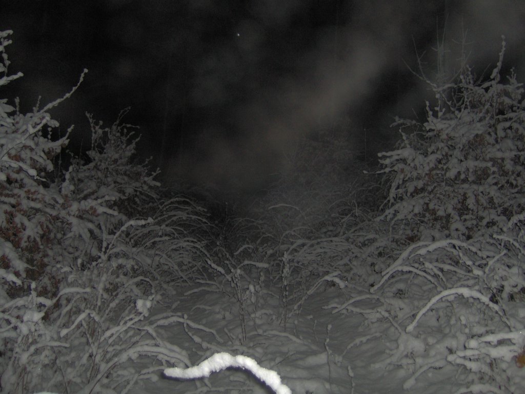 IM000688.JPG
