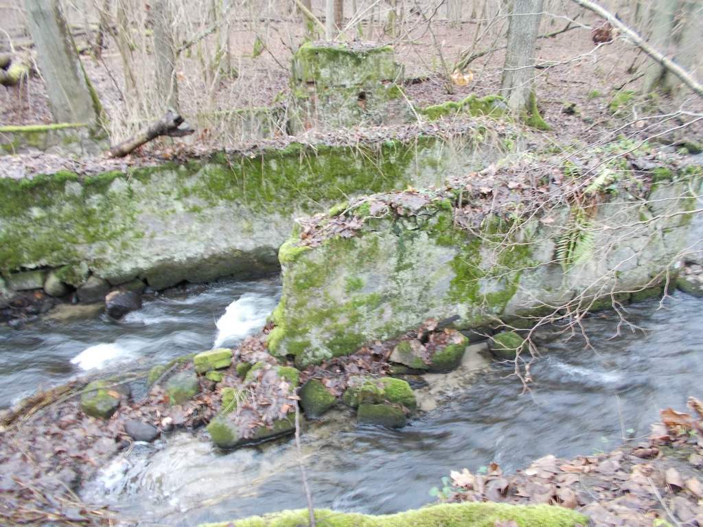 DSCN0184.JPG