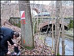 DSCN0179.JPG