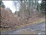 DSCN0185.JPG